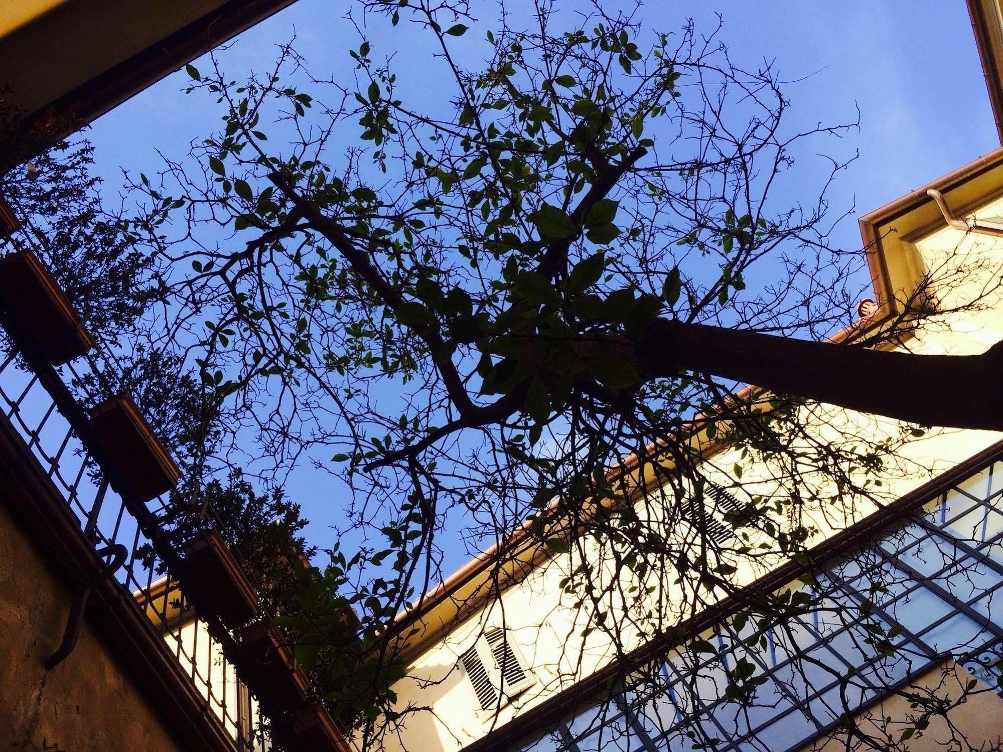 Locanda San Marco Residenza Caluri Pistoia Eksteriør billede